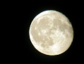 Vol de nuit